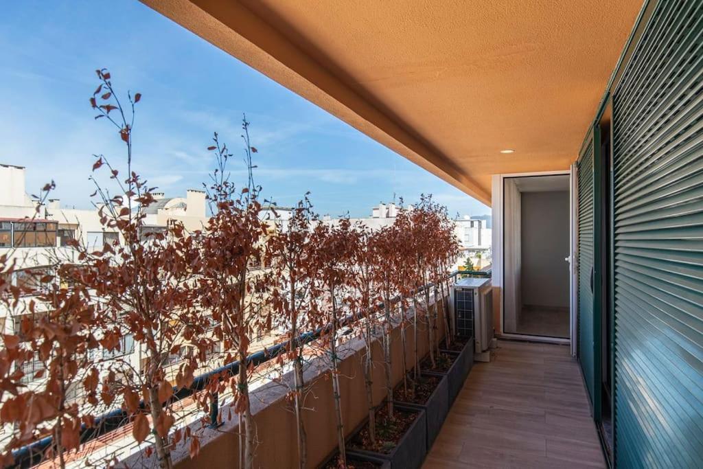 Seaview Luxury Apartment 卡斯凯什 外观 照片